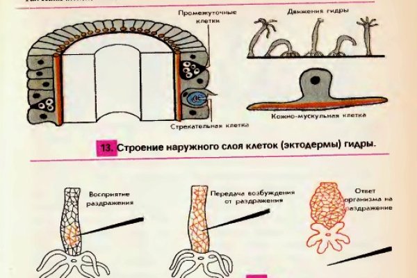 Кракен ссылка тор на сайт